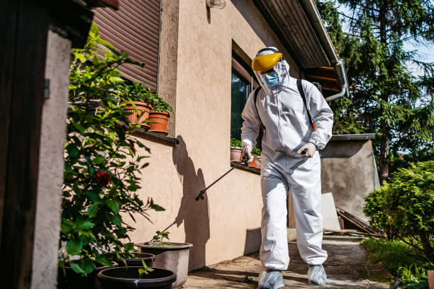 Best Exterminator Services  in Santa Ynez, CA