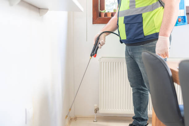 Best Local Pest Control Services  in Santa Ynez, CA