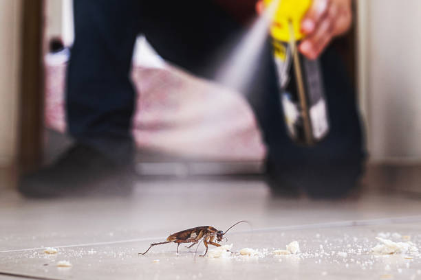 Best Best Pest Control Companies  in Santa Ynez, CA
