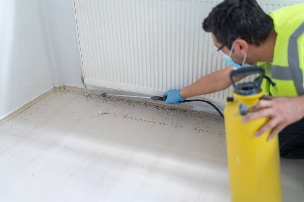 Best Bed Bug Extermination  in Santa Ynez, CA